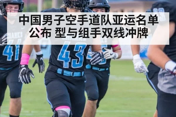 中国男子空手道队亚运名单公布 型与组手双线冲牌